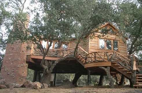 treehouse design